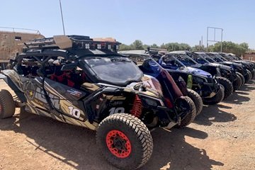 CAN AM PALMERAIE BUGGY
